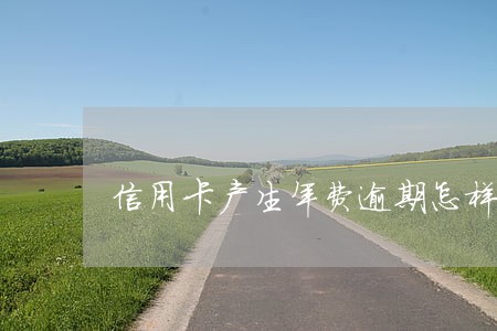 信用卡产生年费逾期怎样消除 信用卡产生年费逾期怎样消除