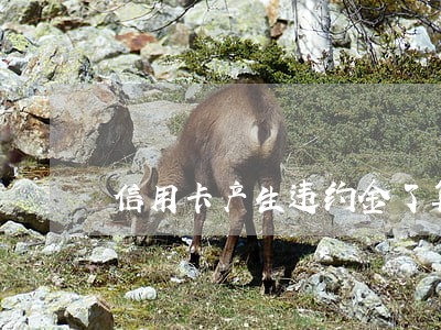 信用卡产生违约金了算逾期吗 信用卡产生违约金了算逾期吗