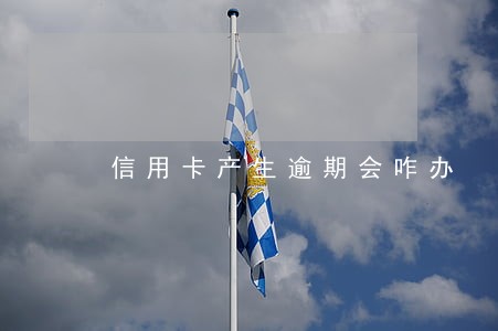 信用卡产生逾期会咋办 信用卡产生逾期会咋办