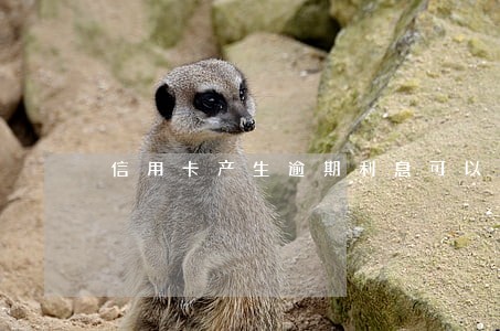 信用卡产生逾期利息可以退还 信用卡产生逾期利息可以退还
