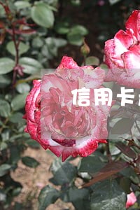 信用卡产生逾期怎么清除