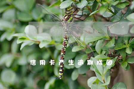 信用卡产生逾期成因