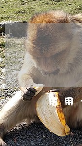 信用卡产生逾期是信用不良了吗 信用卡产生逾期是信用不良了吗
