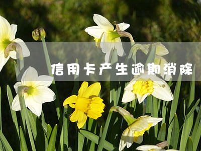 信用卡产生逾期消除 信用卡产生逾期消除