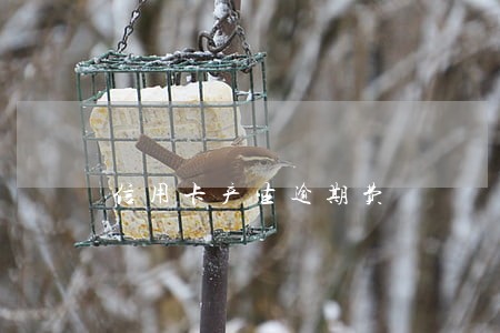 信用卡产生逾期费