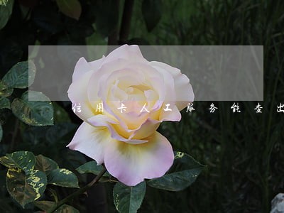 信用卡人工服务能查出逾期吗 信用卡人工服务能查出逾期吗