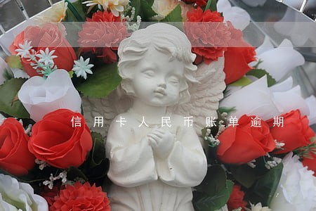 信用卡人民币账单逾期 信用卡人民币账单逾期