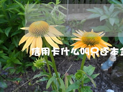 信用卡什么叫只还本金 信用卡什么叫只还本金