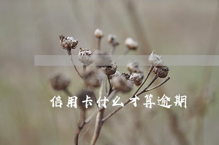 信用卡什么才算逾期 信用卡什么才算逾期