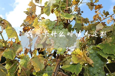 信用卡什么时候为逾期 信用卡什么时候为逾期