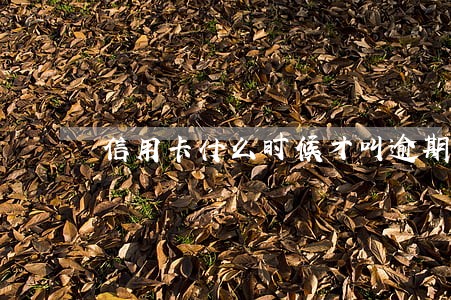 信用卡什么时候才叫逾期 信用卡什么时候才叫逾期