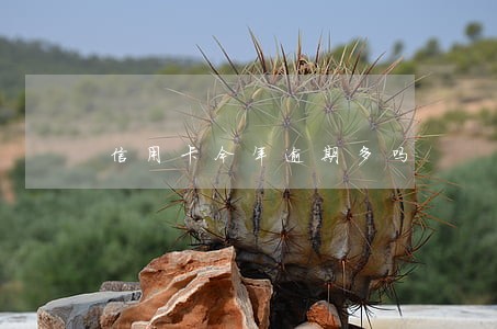 信用卡今年逾期多吗 信用卡今年逾期多吗
