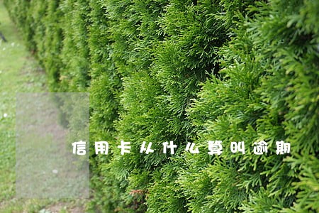 信用卡从什么算叫逾期 信用卡从什么算叫逾期
