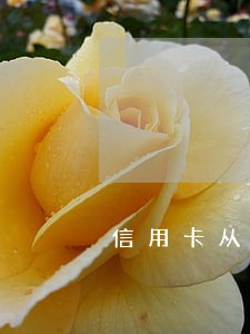 信用卡从哪天开始算逾期 信用卡从哪天开始算逾期