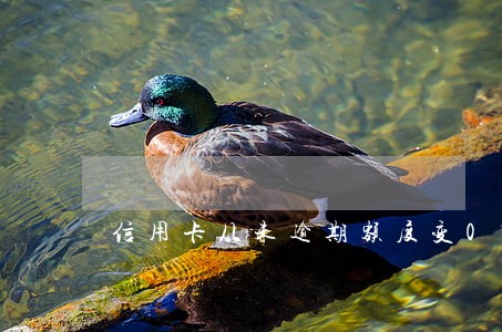 信用卡从未逾期额度变0 信用卡从未逾期额度变0