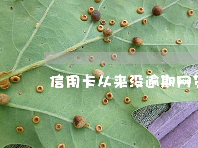 信用卡从来没逾期网贷秒拒 信用卡从来没逾期网贷秒拒