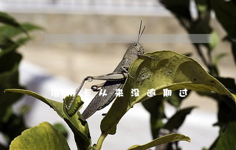 信用卡从来没逾期过