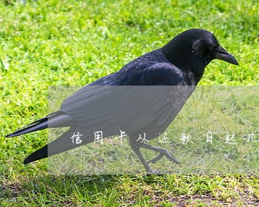 信用卡从还款日起几天算逾期