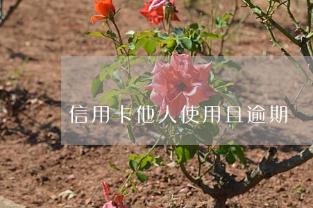 信用卡他人使用且逾期 信用卡他人使用且逾期