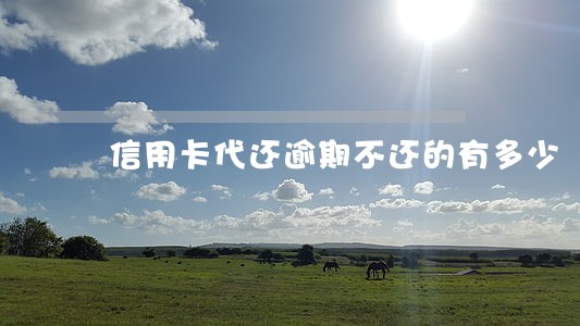 信用卡代还逾期不还的有多少 信用卡代还逾期不还的有多少