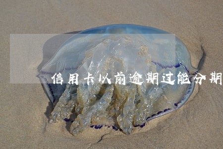 信用卡以前逾期过能分期买车吗 信用卡以前逾期过能分期买车吗