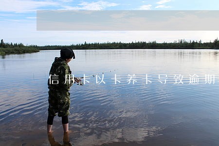 信用卡以卡养卡导致逾期 信用卡以卡养卡导致逾期