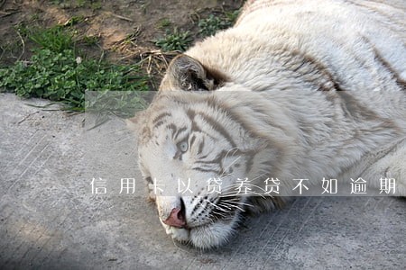 信用卡以贷养贷不如逾期