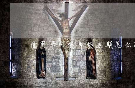 信用卡以贷养贷逾期怎么还