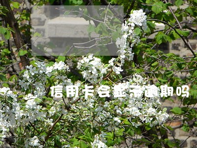 信用卡会显示逾期吗 信用卡会显示逾期吗