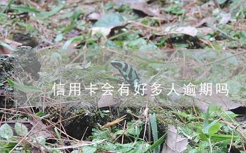 信用卡会有好多人逾期吗 信用卡会有好多人逾期吗