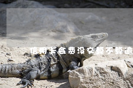 信用卡会费没交算不算逾期 信用卡会费没交算不算逾期