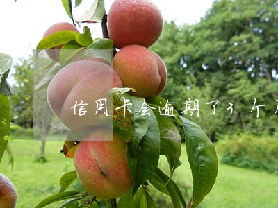信用卡会逾期了3个月了
