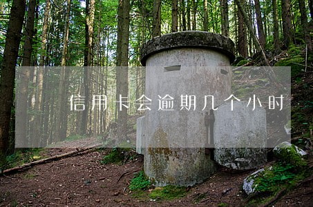 信用卡会逾期几个小时