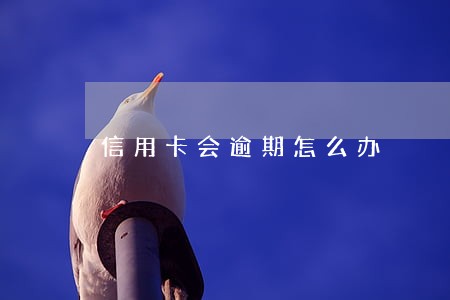 信用卡会逾期怎么办 信用卡会逾期怎么办