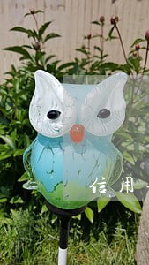 信用卡会逾期能做担保吗 信用卡会逾期能做担保吗