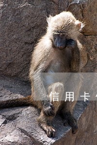 信用卡伪冒逾期怎么办 信用卡伪冒逾期怎么办