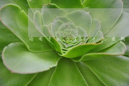 信用卡低于200元逾期