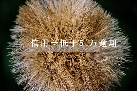 信用卡低于5万逾期 信用卡低于5万逾期