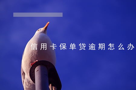 信用卡保单贷逾期怎么办 信用卡保单贷逾期怎么办
