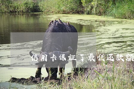 信用卡保证了最低还款额算逾期嘛 信用卡保证了最低还款额算逾期嘛