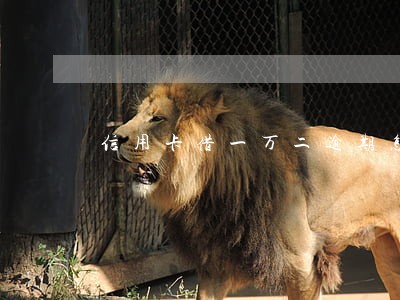 信用卡借一万二逾期怎么办 信用卡借一万二逾期怎么办