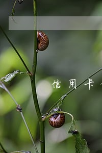 信用卡借一万还五千算逾期吗 信用卡借一万还五千算逾期吗