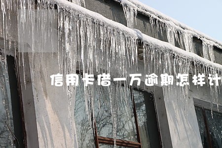 信用卡借一万逾期怎样计息 信用卡借一万逾期怎样计息