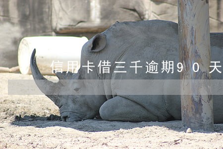 信用卡借三千逾期90天以上 信用卡借三千逾期90天以上