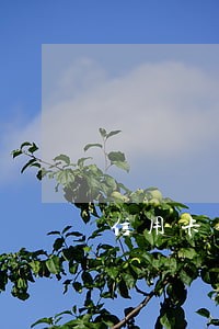 信用卡借了2万逾期