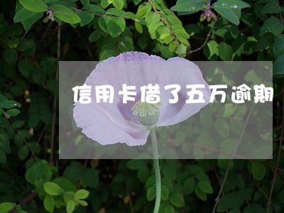 信用卡借了五万逾期 信用卡借了五万逾期