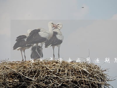 信用卡借亲戚用逾期怎么办 信用卡借亲戚用逾期怎么办