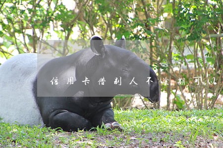 信用卡借别人不逾期可以不 信用卡借别人不逾期可以不