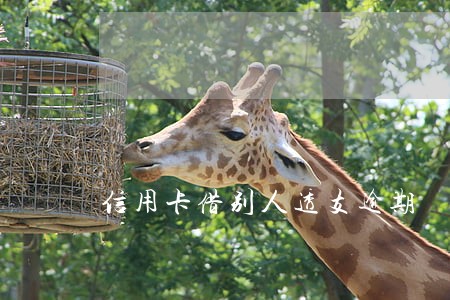 信用卡借别人透支逾期 信用卡借别人透支逾期
