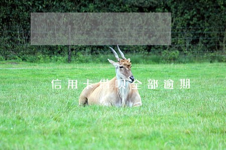 信用卡借呗全部逾期 信用卡借呗全部逾期
